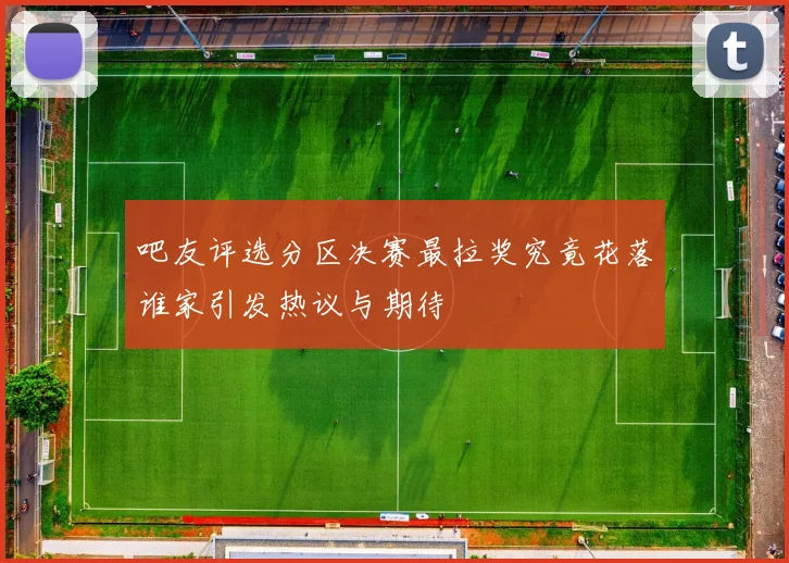 吧友评选分区决赛最拉奖究竟花落谁家引发热议与期待